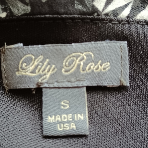 Lily Rose Dress - Picture 6 of 8